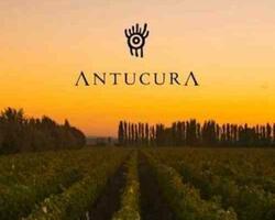 Bodega Antucura FOTO: WEB