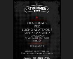 STRUMMER FEST FOTO: WEB