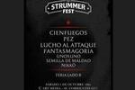 STRUMMER FEST FOTO: WEB